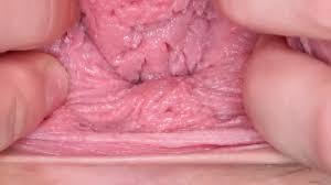 Vidéos porno collibrina pussy gratuites 2025, 2 | xHamster