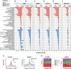 Multi Species Multi Transcription Factor Binding Highlights Conserved Control Of Tissue Specific Biological Pathways Elife