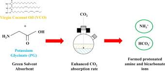 Senior negotiator and team leader. Virgin Coconut Oil Vco And Potassium Glycinate Pg Mixture As Absorbent For Carbon Dioxide Capture Sciencedirect
