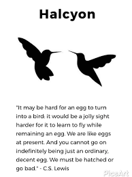 You Won'T Believe These 10 Words Come From Birds | Merriam-Webster
