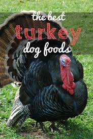 5 Best Turkey Dog Food Brands Chow Your Dog Will Gobble Up Turkey Dogs Dog Food Recipes Holistic Dog Care