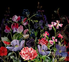 Dark Midnight Spring Flower Garden Design Floral Border Painting By Bramblier York