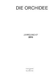 Image result for Disperis reklieberae