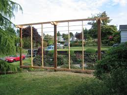 Divine Iron Trellis Design With Wooden Frames As Inspiring Vines Plants Trestle As Decorate Outside Ponds In Backy Vine Trellis Hops Trellis Grape Vine Trellis