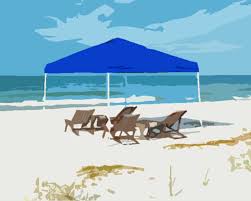 We did not find results for: Best Pop Up Canopy Tent Reviews 2021 Buying Guide