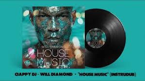 [Deep, Tech House] Ciappy DJ, Will Diamond • House Music (instruDUB) [Soul  Treasure Underground™]