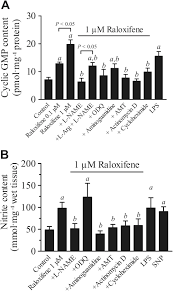 Tapi aku lebih selesa memerhati dari jauh. Role Of Inducible Nitric Oxide Synthase In Endothelium Independent Relaxation To Raloxifene In Rat Aorta Wong 2017 British Journal Of Pharmacology Wiley Online Library