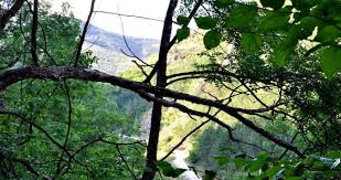 Locuri de vizitat in cluj napoca. Locul Fermecat De LangÄ Cluj Faci Baie Gratis Se Ajunge Foarte UÈor Èi E Vizitat De Mii De TuriÈti In Fiecare An Www Actualdecluj Ro