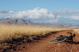 Add this game to my: Stories Sarah Swallow