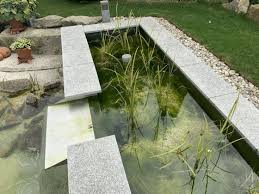 Bilder Der Treffpunkt Fur Schwimmteich Und Naturpool Freunde Schwimmteich Natur Pool Schwimmteich Anlegen