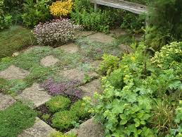 Gestaltungsideen Mit Krautern Garten Pflanzen Krautergarten Anlegen Pflanzen
