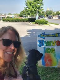 German Shepherd Playing with Ice