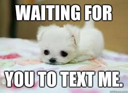 Every Girl Can Be Saved With Just A Sup Or An Emoji Will You Call In The Next 30 Minutes To Donate To Textherback Text For Her Waiting For You Animal Jokes