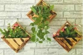Benih tumbuhan ini dijual dengan harga rp. 7 Harga Pot Gantung Terbaik 2020 Cantik Untuk Teras Rumah