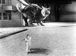 Your score has been saved for the incredible shrinking man. The Incredible Shrinking Man A Cinematic Nightmare Both All American And Kafka Esque Library Of America