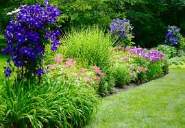 We did not find results for: A Proclivity For Clematis Revised From August 2017 Shaker Lakes Garden Club