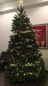 Giving your christmas tree the right amount of water is vital to it staying healthy looking throughout the holiday season. The Daily Wire On Twitter Christmas Hack Is Your Tree Drying Out Even Though You Feed It Plenty Of Water Don T Worry Follow This Easy Christmas Hack To Make Your Tree Look