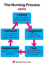 8 Most Important Nursing Concepts Every Nursing Student Must Master Nursefuel Nursing School Notes Nursing School Survival Nursing School