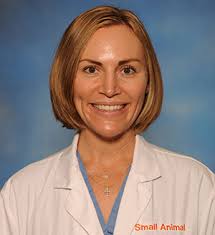 Ophthalmology Personnel