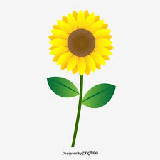 Cartoon Cute Sunflower Flowers Cartoon Style Sunflower Sun Flower Png And Vector With Transparent Background For Free Download In 2020 Sunflower Flower Cartoon Sun Flowers