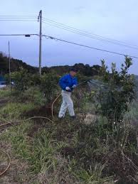 葉面散布 みかん山から アイワ研究会