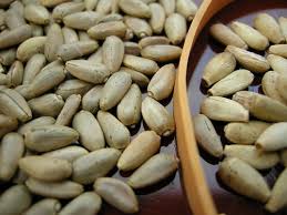 Image result for Psophocarpus lancifolius