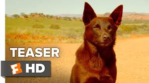 The early events leading up to red dog's discovery on the road to dampier, and his ultimate rise from ordinary dog to australian legend. Red Dog True Blue Official Teaser Trailer 1 2016 Jason Isaacs Levi Miller Movie Hd Youtube