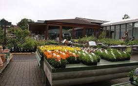 Image Result For Garden Centres Near Image Result For Garden Centres Near Image Result For Garden Centres Near Garden Center Organic Gardening Family Garden
