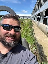 Milkweed garden with log wall sedums