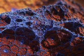 Fractal Wallpapers Full Hd Wallpaper Search Fractals Photo Manipulation Wallpaper