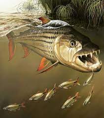 Magnificent Tigerfish Painting Wildlife Prints Fish Art Sea Life Art