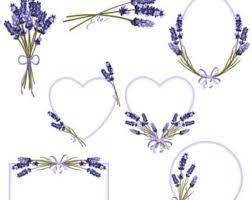 Watercolor Lavender Set Digital Printable Clipart 300 Dpi Png Transparent Background Flower Frame Sticker Paper Crafts Lavender Flowers