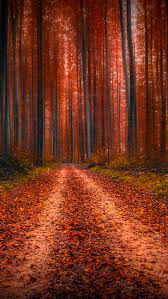 Thousands of hand picked images ready for your mobile device or multi monitor computer. 1082x1922px Free Download Hd Wallpaper Brown And Black Area Rug Nature Landscape Portrait Display Wallpaper Flare