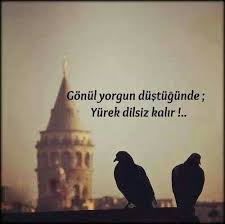 Gonul Yorgun Guzel Soz Yorgun
