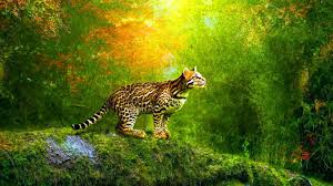 Over 40,000+ cool wallpapers to choose from. Moving Wallpapers Top Free Moving Backgrounds Wallpaperaccess