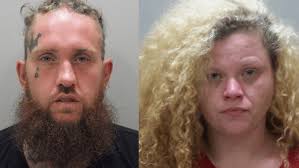 K-9 police dog helps seize illegal narcotics during traffic stop in Wilson  County