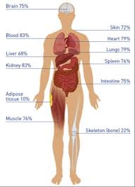 The human body is the structure of a human being. Water And Hydration Physiological Basis In Adults Hydration For Health