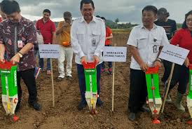 Bisnis tanaman bunga matahari jika ditekuni dengan serius akan menghasilkan keuntungan puluhan juta. Lebih Menguntungkan Kementan Dorong Sulut Tanam Jagung Republika Online