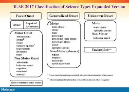 30 Paradigmatic Seizure Classification