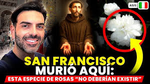 The Most Powerful Exorcist Lived Here and I'm Telling You Everything