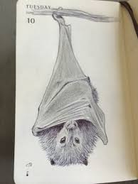 Mnaitodesigns Keeping It Real One Drawing At A Time Mega Bat Mnaitodesigns Keeping It Real One Drawing At A Time These drawing instructions are fun and easy, with just 6 steps to follow you will be drawing your halloween time is the best time to learn how to draw a bat! mega bat mnaitodesigns keeping