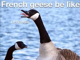 But why are they so aggressive? Le Honque Memes
