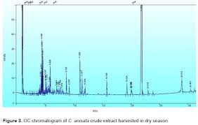 Image result for Turraea holstii