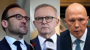 Priscilla Bennett's Instagram, Twitter & Facebook