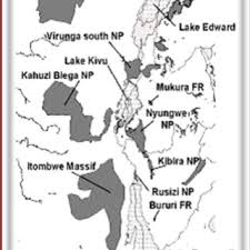 Image result for Blotiella bouxiniana