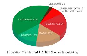 threatened birds recovering thanks to endangered species act