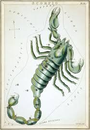 Scorpius Wikipedia The Free Encyclopedia Constellations Scorpio Art Scorpio