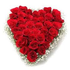 We did not find results for: 9 Romantic Valentine S Day Flowers Other Than Roses