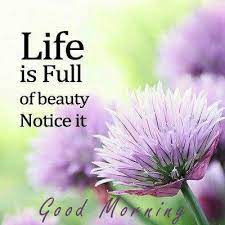 Life Is Full Of Beauty Good Morning Inspirational Quotes - Good Morning Images, Quotes, Wishes, Messages, greetings &amp; eCards