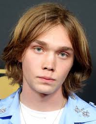 Now he uses his unique skill set at quinn perkins and associates as a gladiator. Charlie Plummer Rotten Tomatoes
